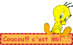 Gif animé coucou titi